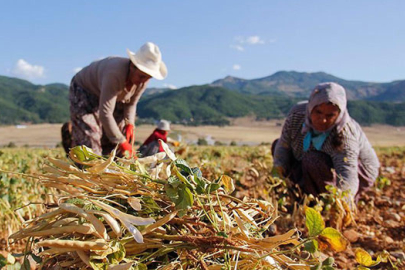 Çiftçiye 1,7 milyar lira yeni destek ödemesi!