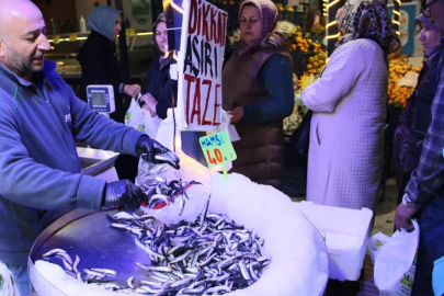 Hamsinin kilosu 40 liraya düştü: