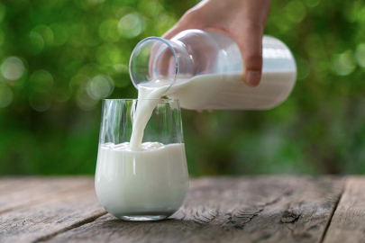 Ulusal Süt Zirvesi 20 Kasım'da Antalya'da yapılacak!