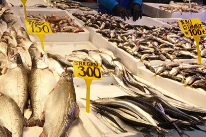 Trabzon balıkçıları: Hamsi bol, fiyatlar uygun