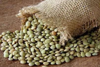 Yeşil mercimek ve yulaf ithalatında gümrük vergileri indirildi.