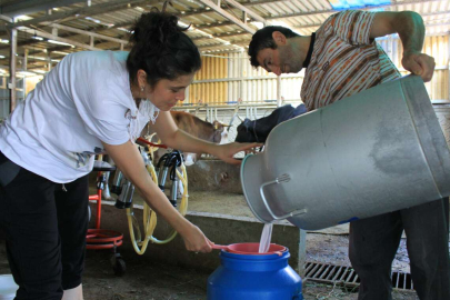 Üreticiler süt fiyatında güncelleme istiyor...