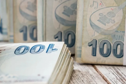 Vatandaşlık maaşında pilot il neresi?