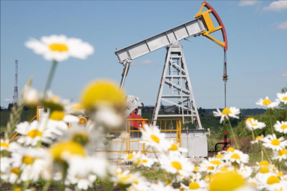 Brent petrolün varili 61,20 dolardan işlem görüyor...