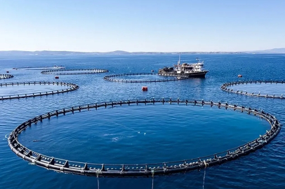 Karadeniz’in su ürünleri ihracatı 36 ülkeye ulaştı.