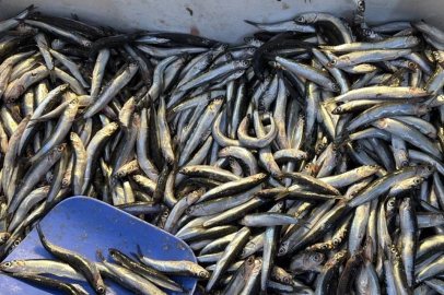 Bir buçuk aydır tezgahlardan uzaktı: