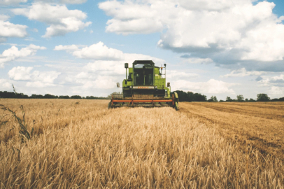 Tarım ÜFE ocakta aylık bazda arttı.