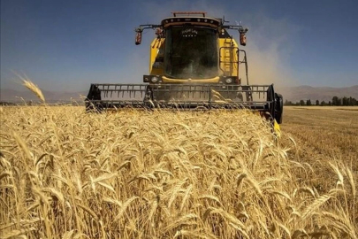 Tarımsal girdi fiyat endeksi ocakta arttı.