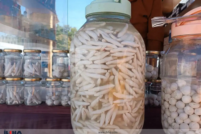 Kilosu 15 bin TL olan dağ sakızı rekor kırdı!