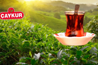ÇAYKUR duyurdu: Kuru çaya zam geldi!