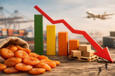 Kuru meyve sektöründen 3 ayda 404 milyon dolar gelir!