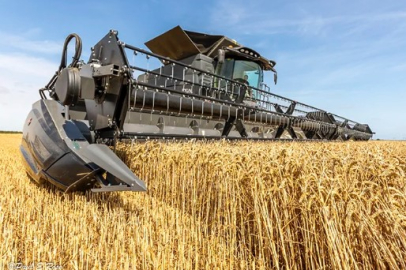 Dünya hububat üretiminde bir ilk gerçekleşecek.