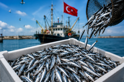 Türkiye hamsi ihracatından 5 ayda 7,3 milyon dolar kazandı.